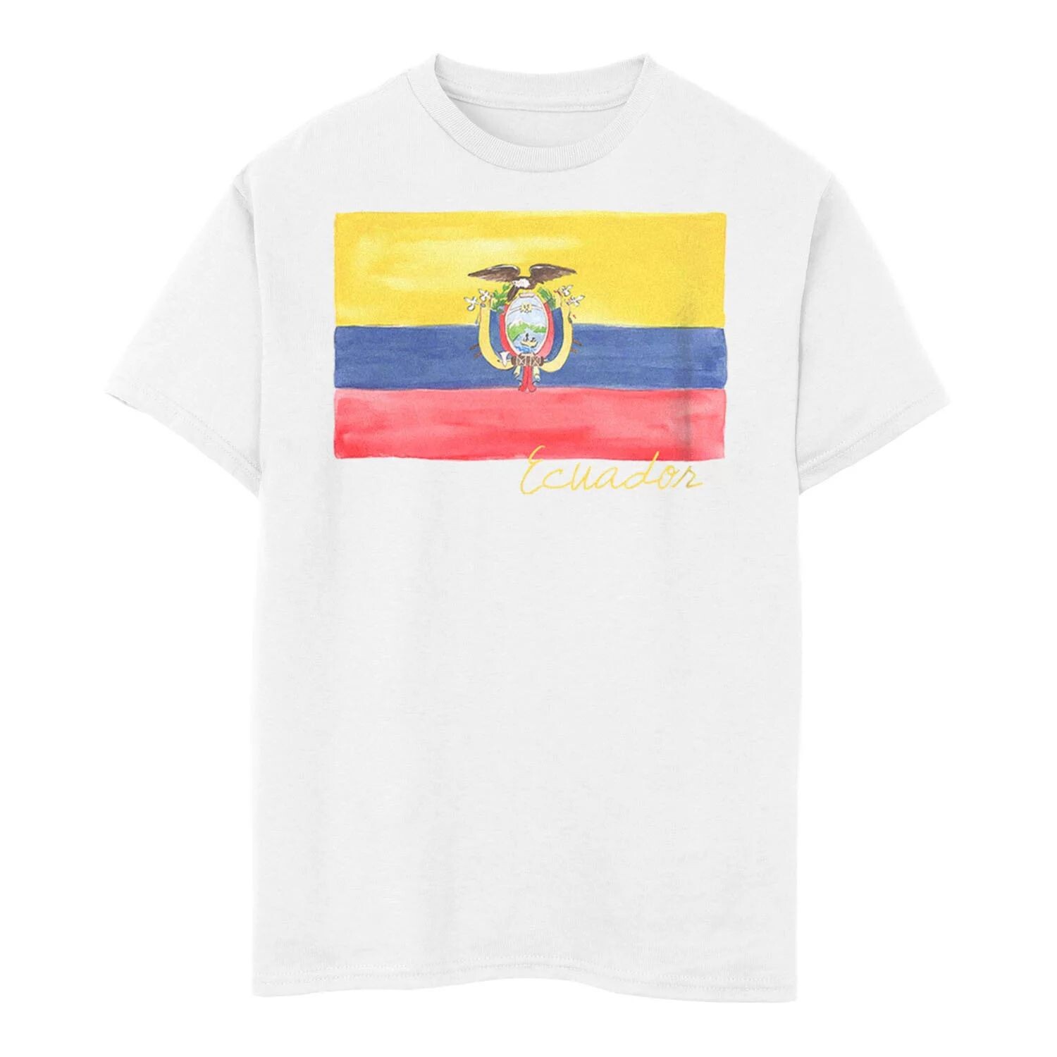 Футболка с акварельным флагом Эквадора для мальчиков 8–20 лет Licensed Character
Футболка с акварельным флагом Эквадора для мальчиков 8–20 лет Licensed Character