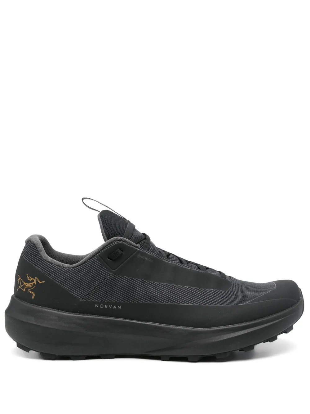 Кроссовки Norvan LD 4 GTX Arc'teryx, черный
Кроссовки Norvan LD 4 GTX Arc'teryx, черный