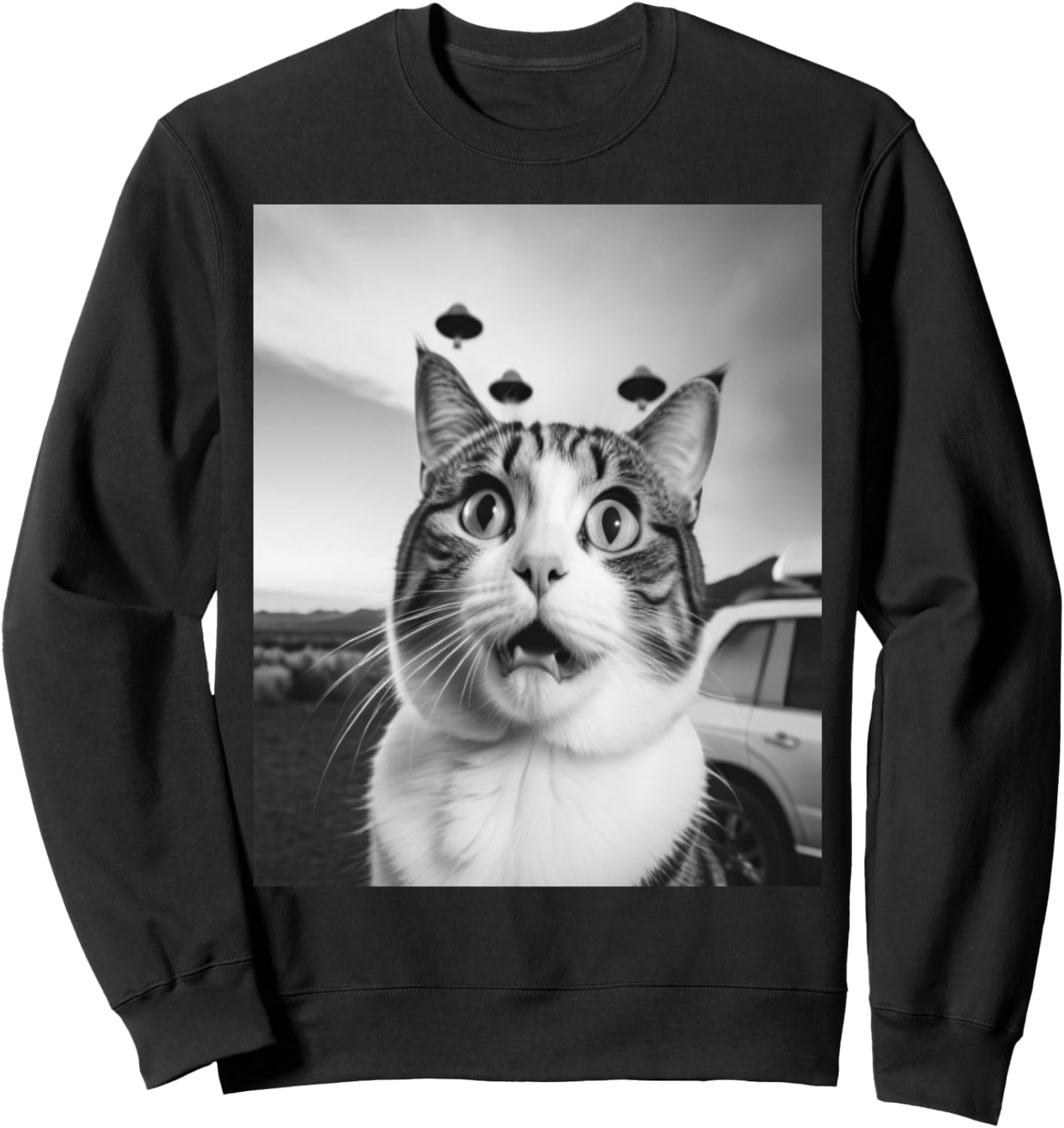 PanfurWare LLC Забавная толстовка с котом, селфи, НЛО, инопланетное вторжение, черный
PanfurWare LLC Забавная толстовка с котом, селфи, НЛО, инопланетное вторжение, черный