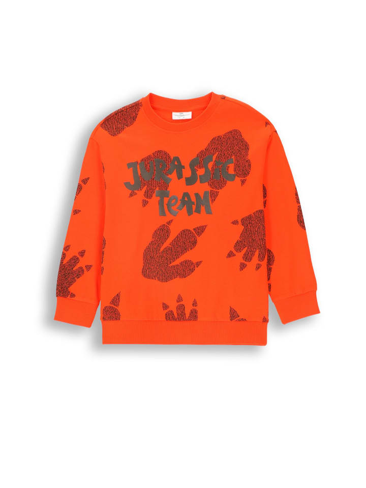 Толстовка Coccodrillo, красный 
Толстовка Coccodrillo, красный