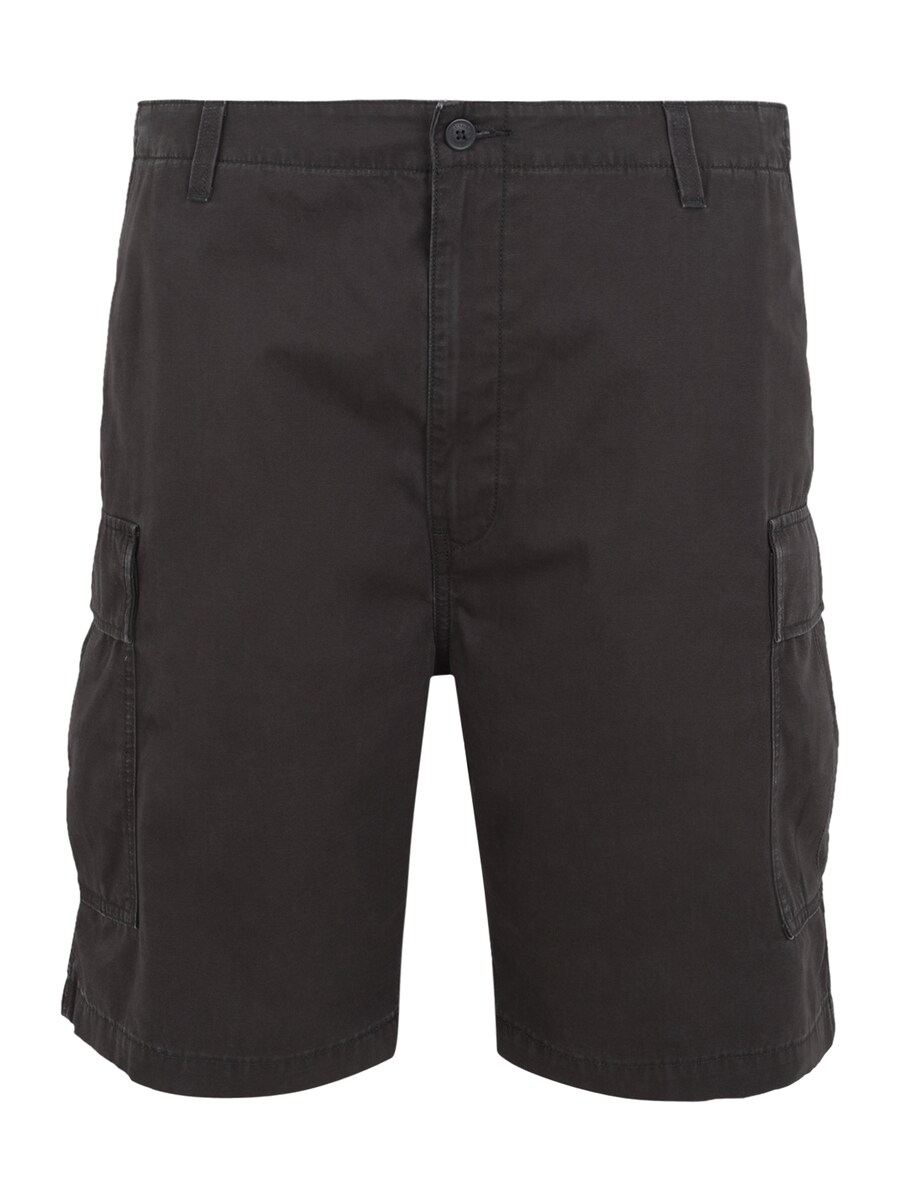 Обычные брюки-карго Levi's Big & Tall Carrier, черный
Обычные брюки-карго Levi's Big & Tall Carrier, черный