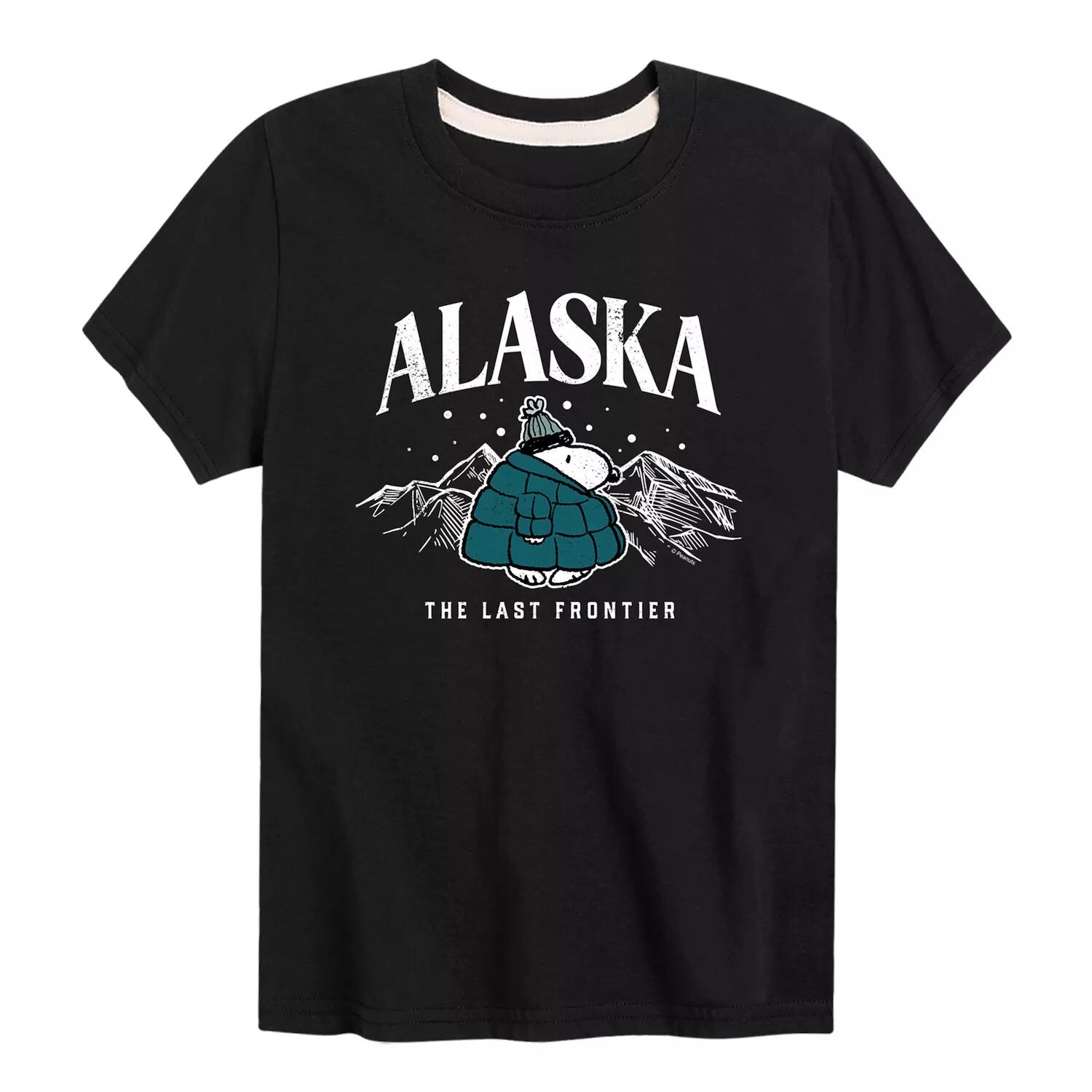 Футболка Peanuts Alaska Last Frontier для мальчиков 8–20 лет Licensed Character, черный
Футболка Peanuts Alaska Last Frontier для мальчиков 8–20 лет Licensed Character, черный