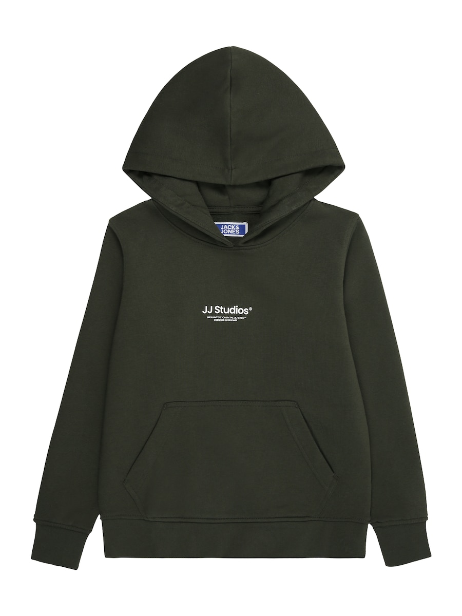 Толстовка Jack & Jones Junior JJESOHO, темно-зеленый
Толстовка Jack & Jones Junior JJESOHO, темно-зеленый