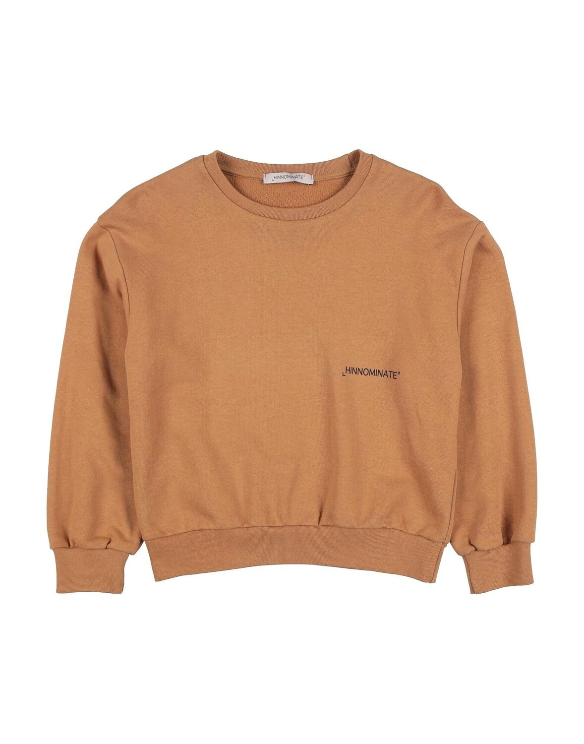 Толстовка Hinnominate, коричневый 
Толстовка Hinnominate, коричневый