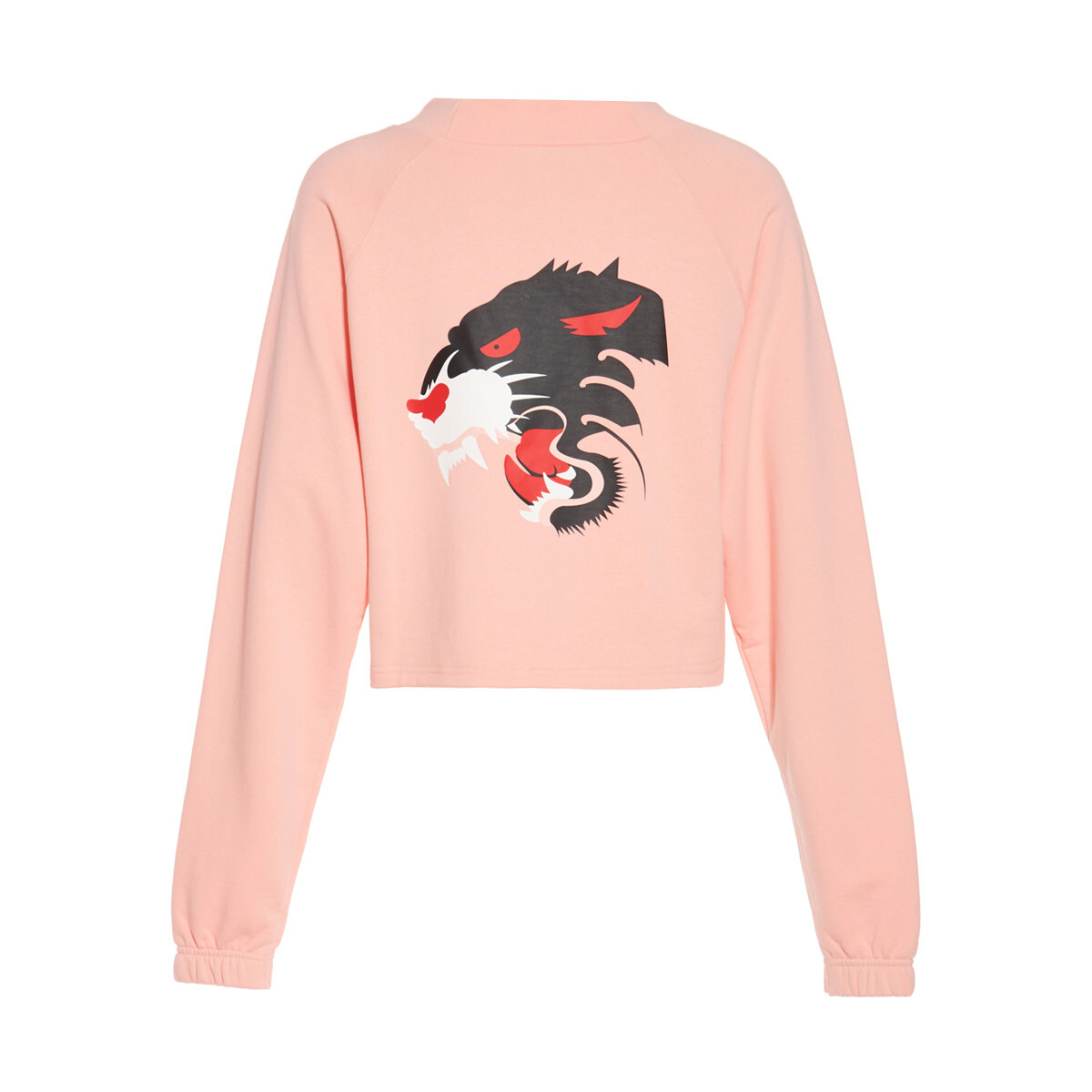 Толстовка Fierce Cat женская персиково-розовая Puma
Толстовка Fierce Cat женская персиково-розовая Puma