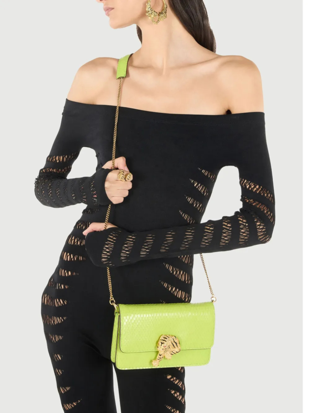 Сумка через плечо Roberto Cavalli Roar, зеленый 
Сумка через плечо Roberto Cavalli Roar, зеленый