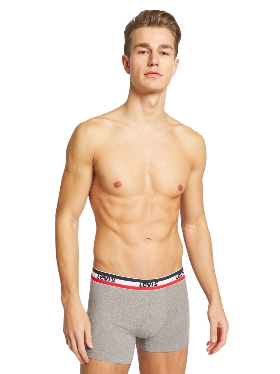 Боксеры LEVI'S LEVIS BOXER SHORTS, серо-голубой
Боксеры LEVI'S LEVIS BOXER SHORTS, серо-голубой
