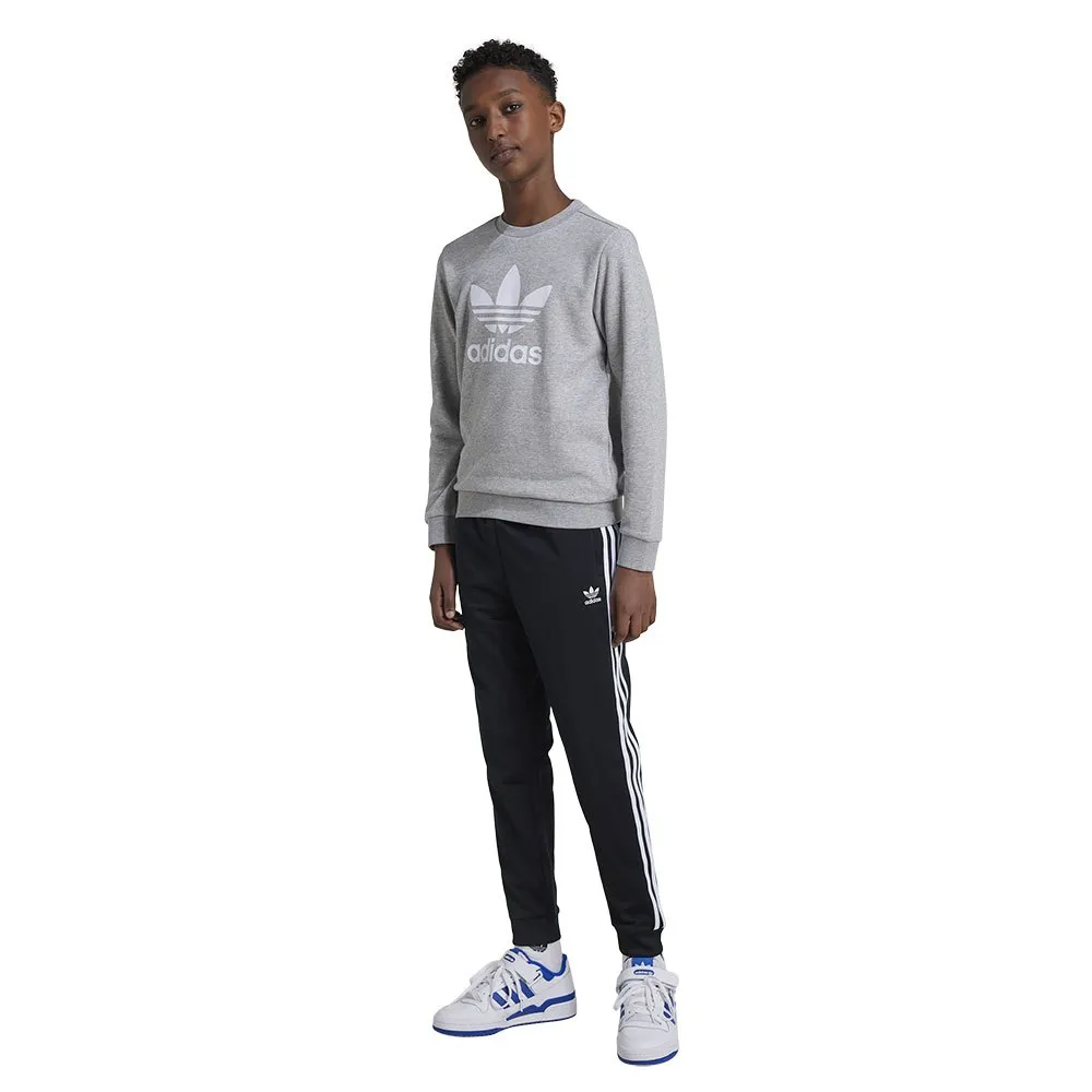 Брюки adidas Originals Adicolor SST, серый
Брюки adidas Originals Adicolor SST, серый