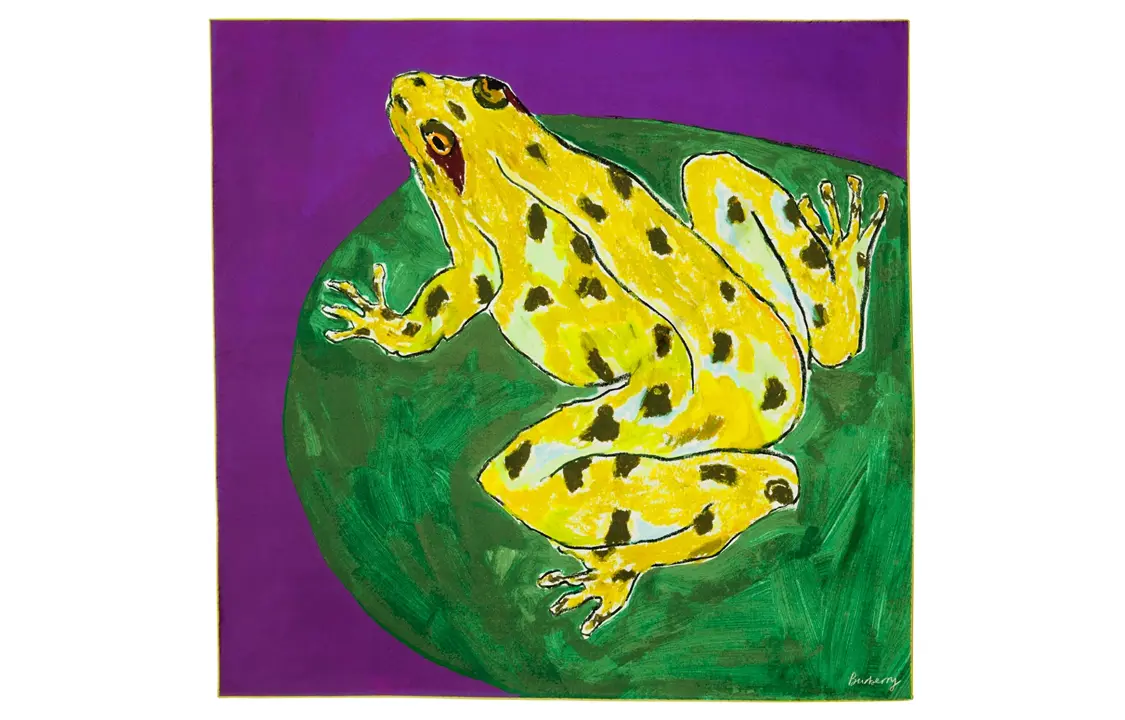 Шёлковый шарф с принтом лягушки Burberry
Шёлковый шарф с принтом лягушки Burberry