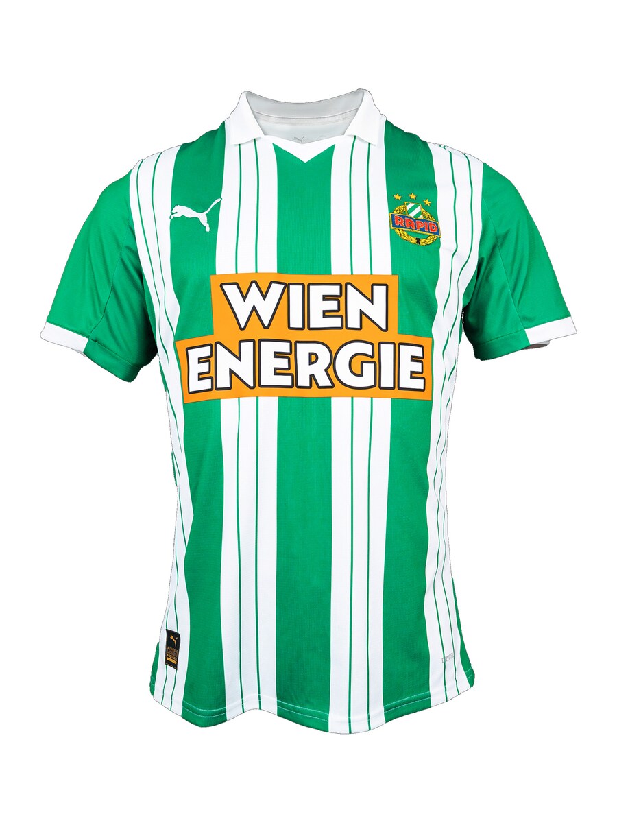 Футболка Performance PUMA SK Rapid Wien, зеленый
Футболка Performance PUMA SK Rapid Wien, зеленый