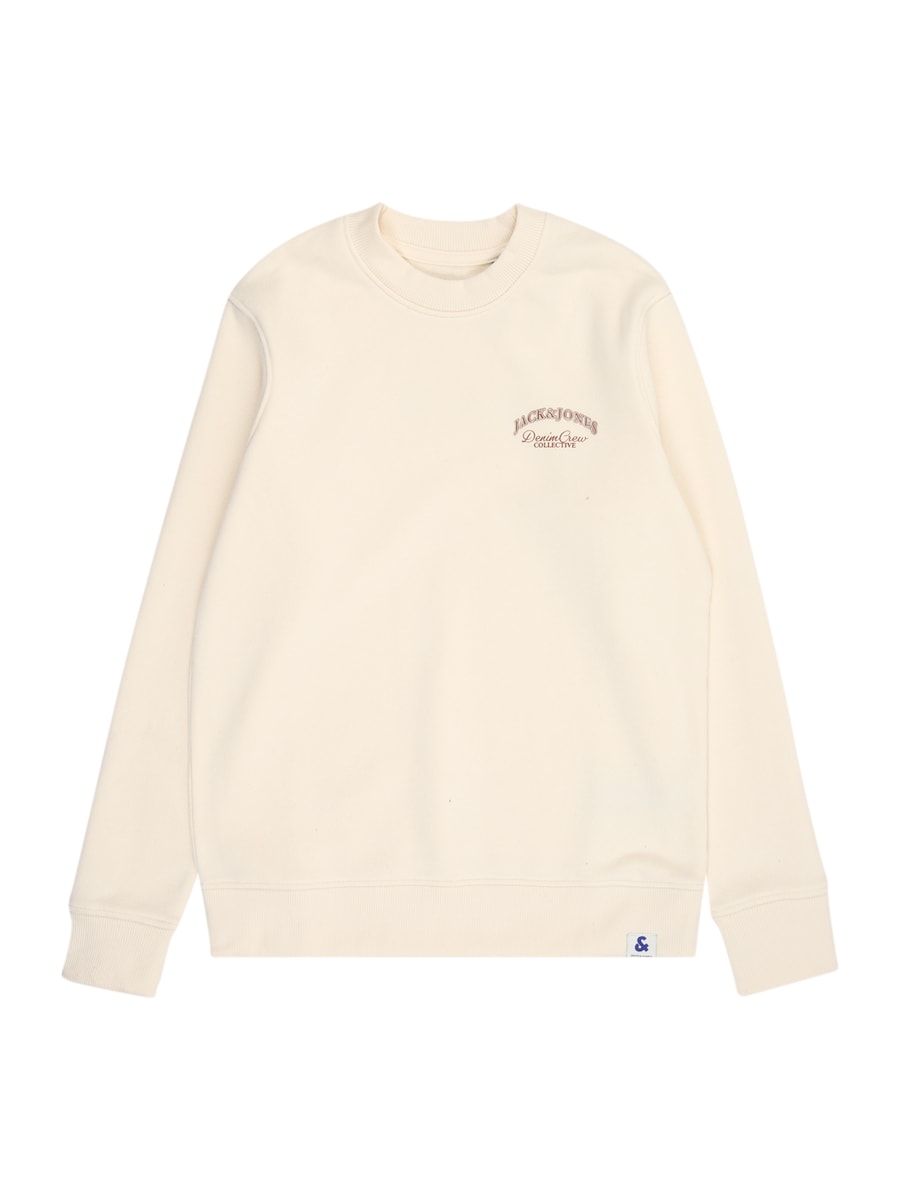 Толстовка Jack & Jones Junior, Wool White
Толстовка Jack & Jones Junior, Wool White