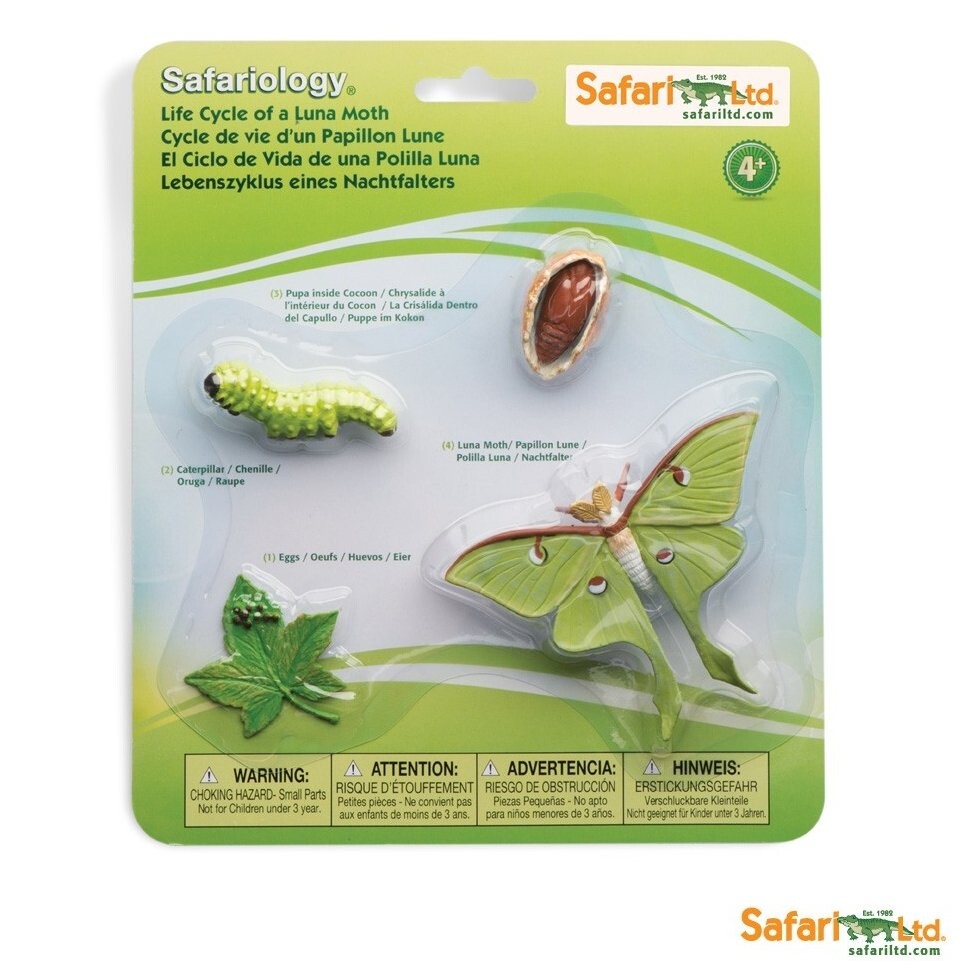 Safari Ltd 663516 мотылек жизненный цикл - 4 шт.блистер
Safari Ltd 663516 мотылек жизненный цикл - 4 шт.блистер