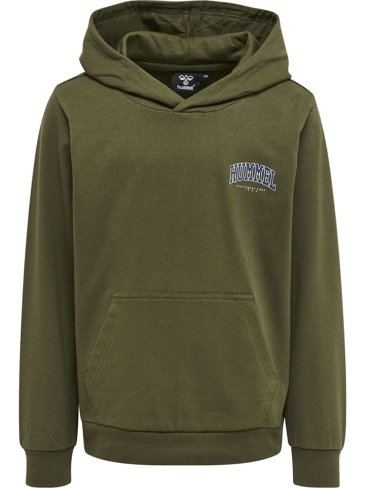 Пуловер с капюшоном Hummel, цвет kalamata
Пуловер с капюшоном Hummel, цвет kalamata