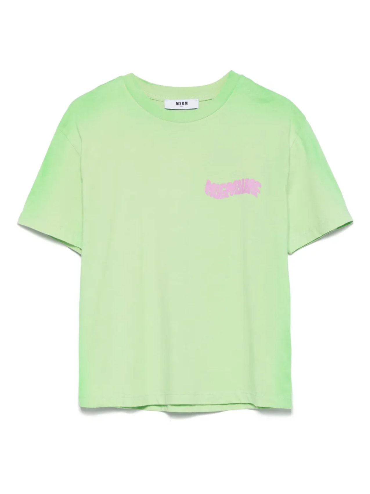 MSGM Kids футболка с логотипом, зеленый
MSGM Kids футболка с логотипом, зеленый