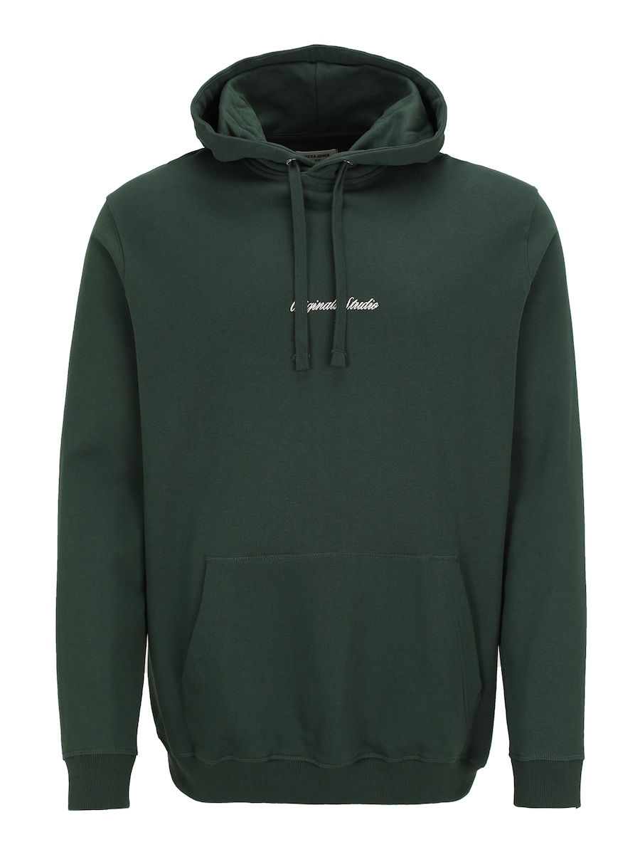 Толстовка Jack & Jones Plus JORNORREBRO, зеленый
Толстовка Jack & Jones Plus JORNORREBRO, зеленый