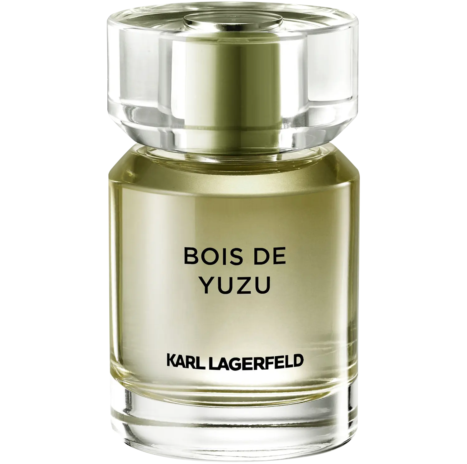 Мужская туалетная вода Karl Lagerfeld Bois De Yuzu, 50 мл 
Мужская туалетная вода Karl Lagerfeld Bois De Yuzu, 50 мл