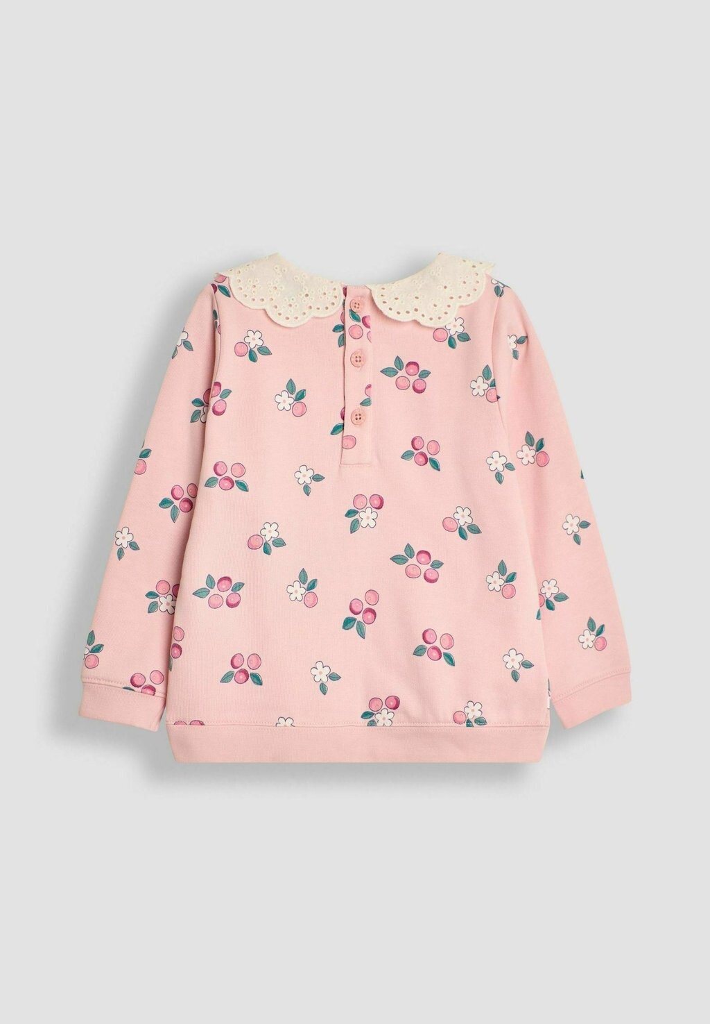 Толстовка BERRY BRODERIE COLLAR REGULAR FIT JoJo Maman Bébé, розовый
Толстовка BERRY BRODERIE COLLAR REGULAR FIT JoJo Maman Bébé, розовый