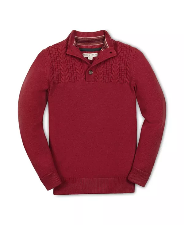 Детский свитер с длинными рукавами, воротником-стойкой и косичкой из органического хлопка - для малышей и детей постарше. Hope & Henry, красный
Детский свитер с длинными рукавами, воротником-стойкой и косичкой из органического хлопка - для малышей и детей постарше. Hope & Henry, красный