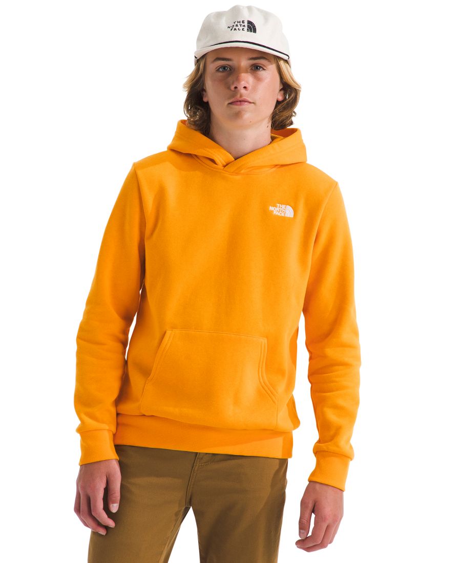 Детская толстовка Evolution Simple Dome Pull-On Hoodie для мальчиков 6-20 лет The North Face, Summit Gold
Детская толстовка Evolution Simple Dome Pull-On Hoodie для мальчиков 6-20 лет The North Face, Summit Gold