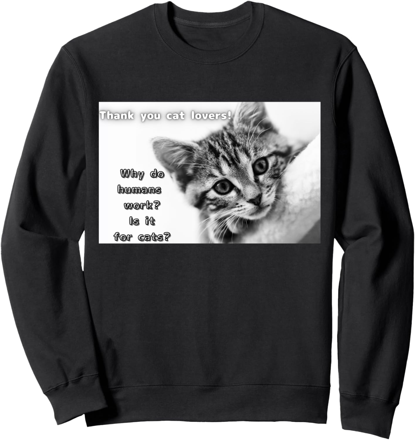 Однотонный, стильный кот, забавная, милая толстовка Interesting Animal Specialty Store, черный
Однотонный, стильный кот, забавная, милая толстовка Interesting Animal Specialty Store, черный