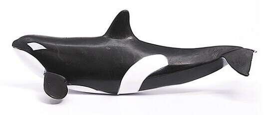 Schleich Океаническая Косатка Черно-Белая Дикая Жизнь, Ручная Расположенная Фигурка Inna marka
Schleich Океаническая Косатка Черно-Белая Дикая Жизнь, Ручная Расположенная Фигурка Inna marka