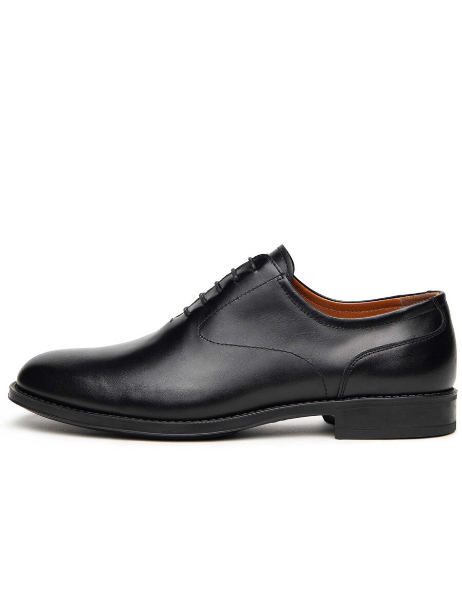 Туфли на шнуровке Nero Giardini, черный
Туфли на шнуровке Nero Giardini, черный