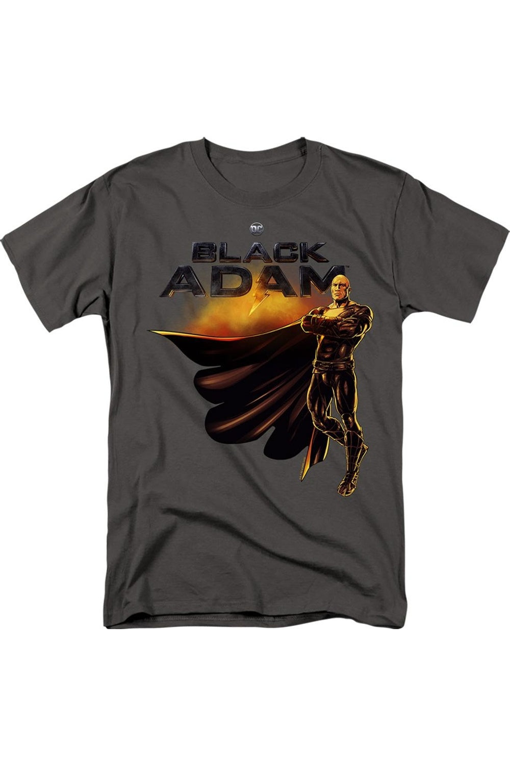 Черный Адам Черный Адам Логотип с персонажем Короткий рукав Взрослая футболка / Футболка Gildan
Черный Адам Черный Адам Логотип с персонажем Короткий рукав Взрослая футболка / Футболка Gildan
