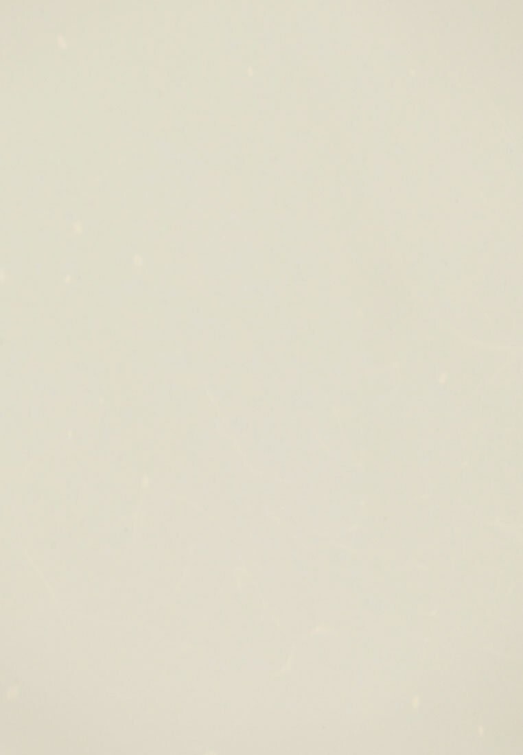 Консилер Digital Complexion Neutralizer Kryolan, светло-серый
Консилер Digital Complexion Neutralizer Kryolan, светло-серый