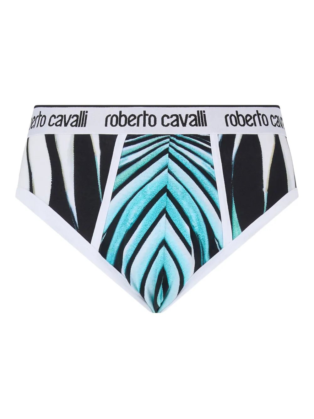 Трусы-брифы с принтом Ray of Sea Roberto Cavalli, синий
Трусы-брифы с принтом Ray of Sea Roberto Cavalli, синий