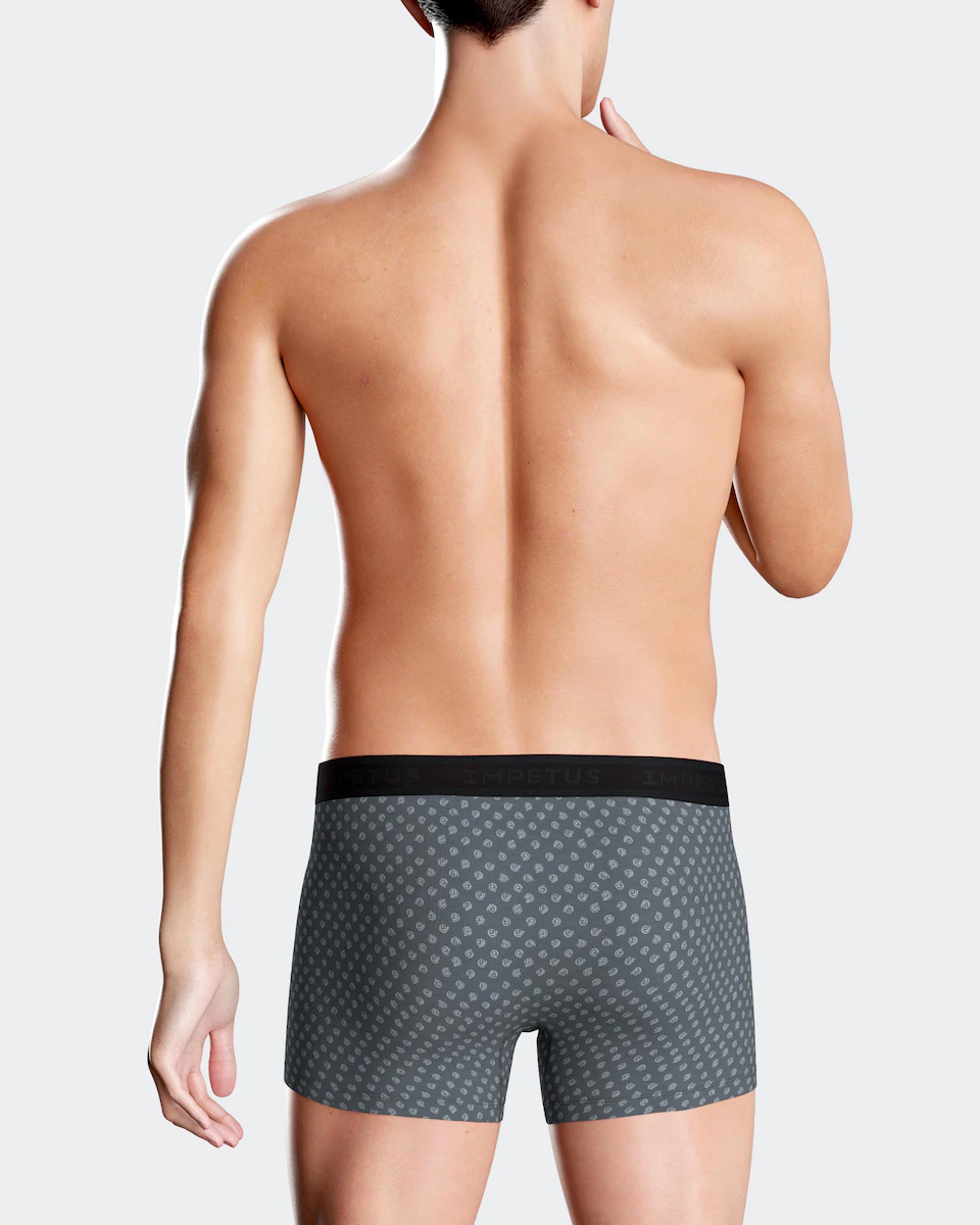 Набор из двух мужских боксеров из трикотажа, разные цвета Impetus, серый
Набор из двух мужских боксеров из трикотажа, разные цвета Impetus, серый