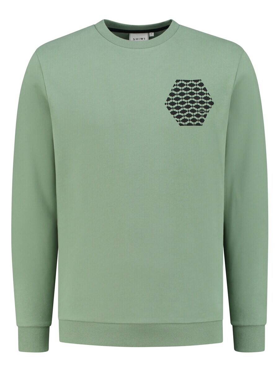 Свитер Shiwi Sweatshirt, светло-зеленый
Свитер Shiwi Sweatshirt, светло-зеленый