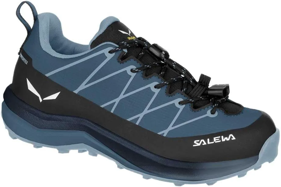 Кроссовки для отдыха и походов Salewa для детей и взрослых, синий
Кроссовки для отдыха и походов Salewa для детей и взрослых, синий