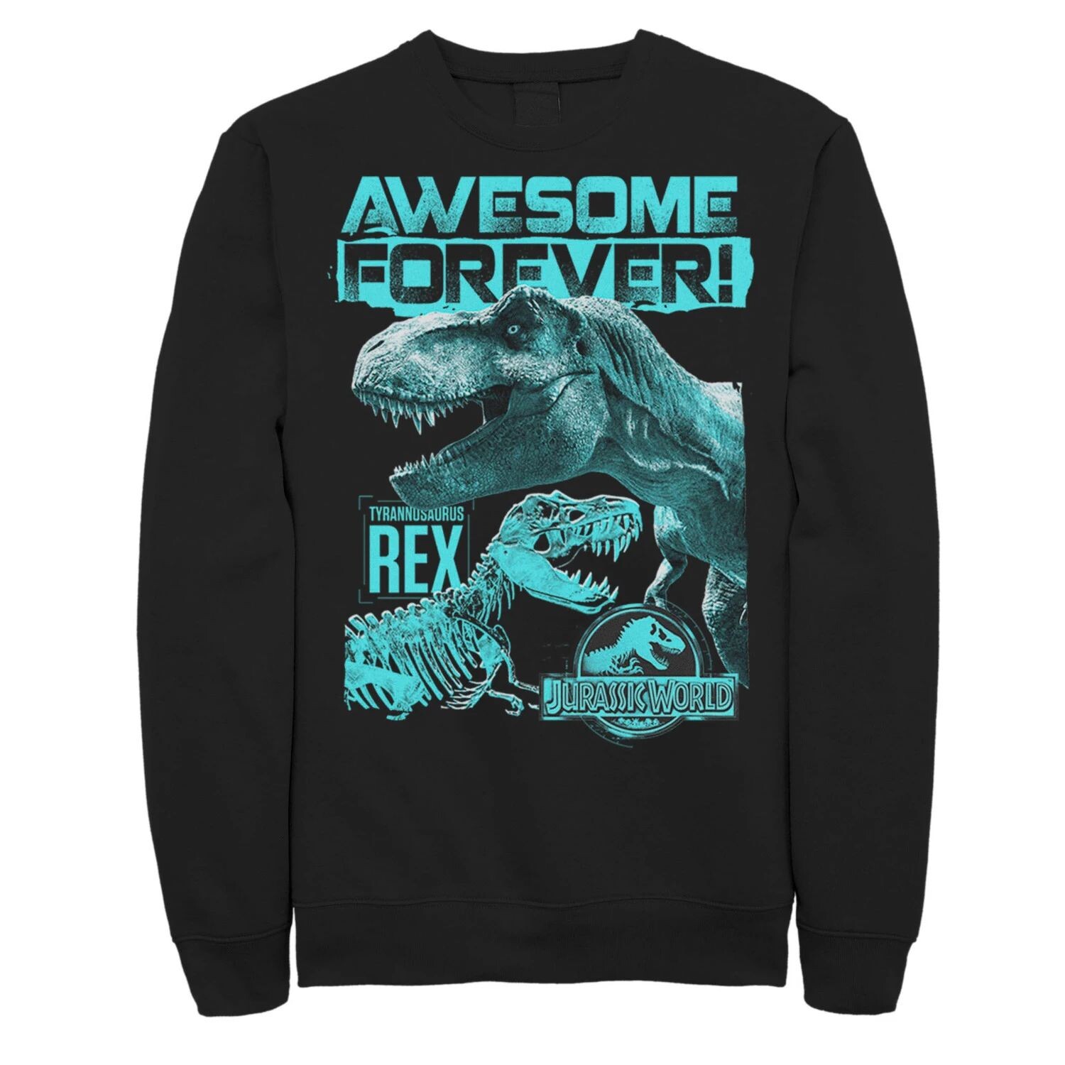 Мужская толстовка Мир Юрского периода Two T-Rex Awesome Forever Licensed Character, черный
Мужская толстовка Мир Юрского периода Two T-Rex Awesome Forever Licensed Character, черный