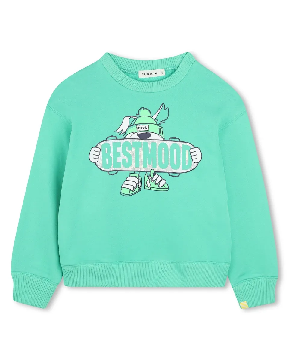 Детская толстовка зеленая хлопковая Billieblush, светло-зеленый
Детская толстовка зеленая хлопковая Billieblush, светло-зеленый