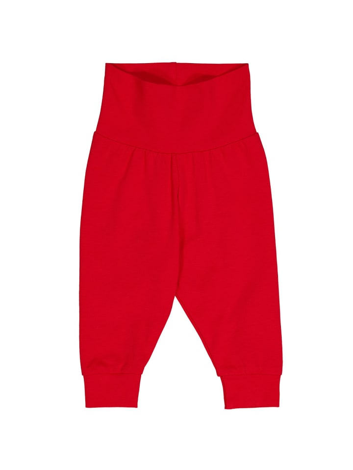 Спортивные брюки FredВґs World by GREEN COTTON, красный
Спортивные брюки FredВґs World by GREEN COTTON, красный