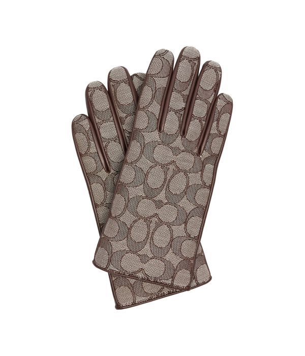 Перчатки женские Coach кожаные с добавлением шерсти, коричневый
Перчатки женские Coach кожаные с добавлением шерсти, коричневый