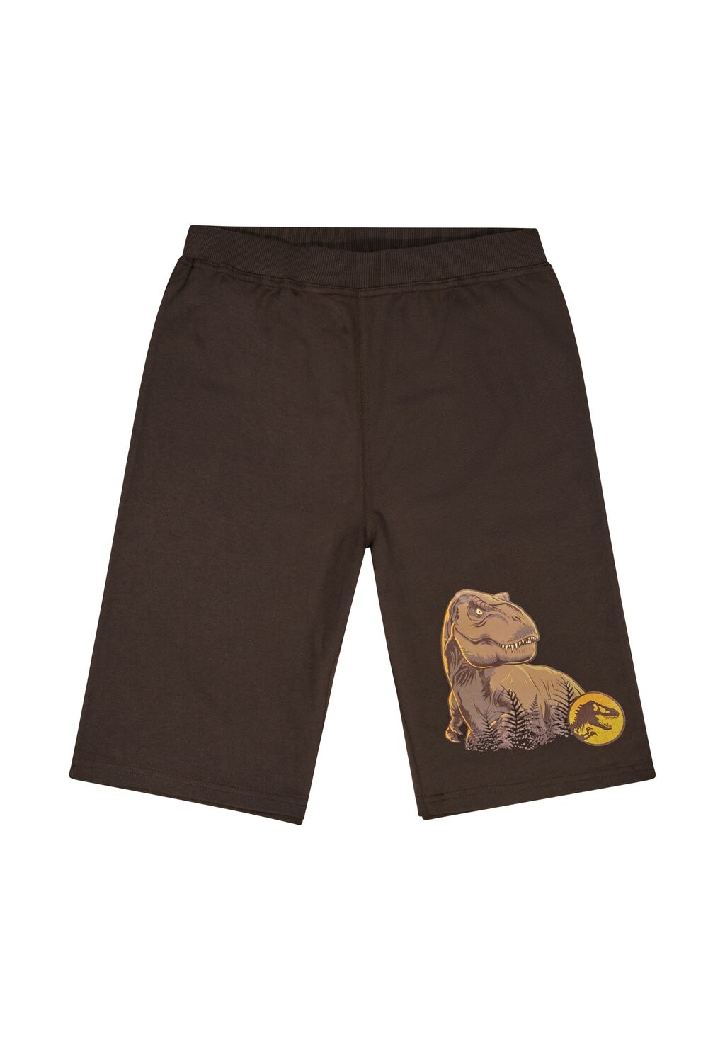Шорты Jurassic World, коричневый
Шорты Jurassic World, коричневый