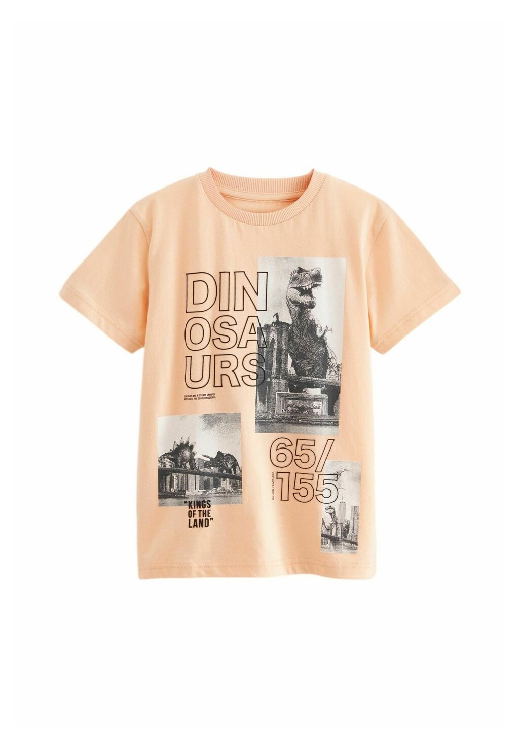 Футболка с принтом SHORT SLEEVE GRAPHIC STANDARD Next, цвет peach pink photo dino
Футболка с принтом SHORT SLEEVE GRAPHIC STANDARD Next, цвет peach pink photo dino