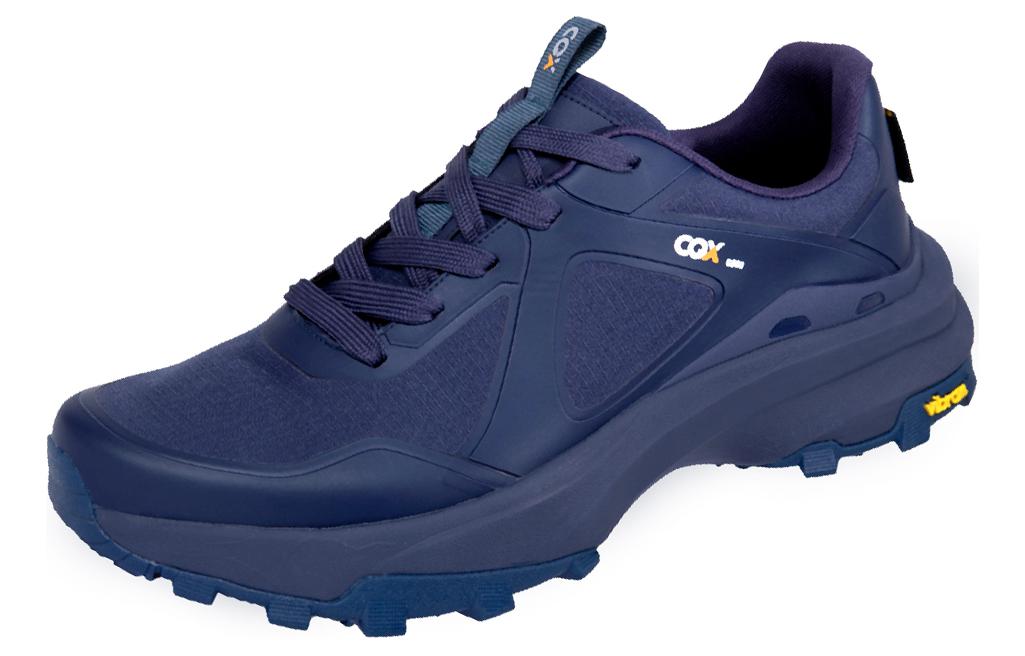 CGX Нескользящие легкие низкие кроссовки для активного отдыха, мужские, синего цвета
CGX Нескользящие легкие низкие кроссовки для активного отдыха, мужские, синего цвета