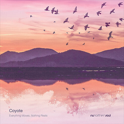 Виниловая пластинка Coyote: Everything Moves Nothing Rests
Виниловая пластинка Coyote: Everything Moves Nothing Rests