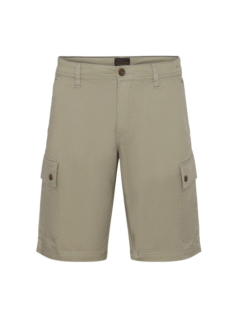 Обычные брюки-карго Signal Ken, пастельно-зеленый
Обычные брюки-карго Signal Ken, пастельно-зеленый