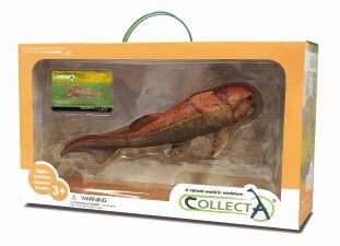 Collecta, коллекционная фигурка, оконная шкатулка Dunkleosteus Deluxe, доисторическая рыба
Collecta, коллекционная фигурка, оконная шкатулка Dunkleosteus Deluxe, доисторическая рыба