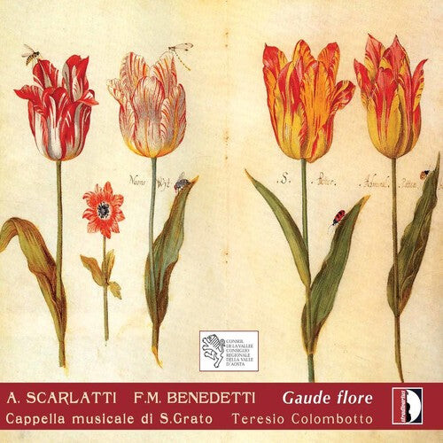 CD диск Scarlatti / Cappella Musicale San Grato / Colombot: Gaude Flore: Italian Music of the 17th & 18th Century 
CD диск Scarlatti / Cappella Musicale San Grato / Colombot: Gaude Flore: Italian Music of the 17th & 18th Century