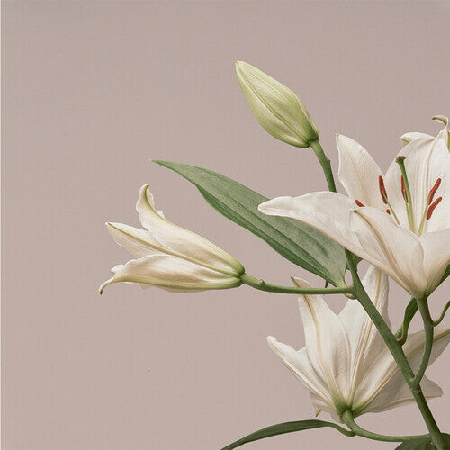 CD диск Imminence: Turn The Light On: Acoustic Reimagination V1
CD диск Imminence: Turn The Light On: Acoustic Reimagination V1