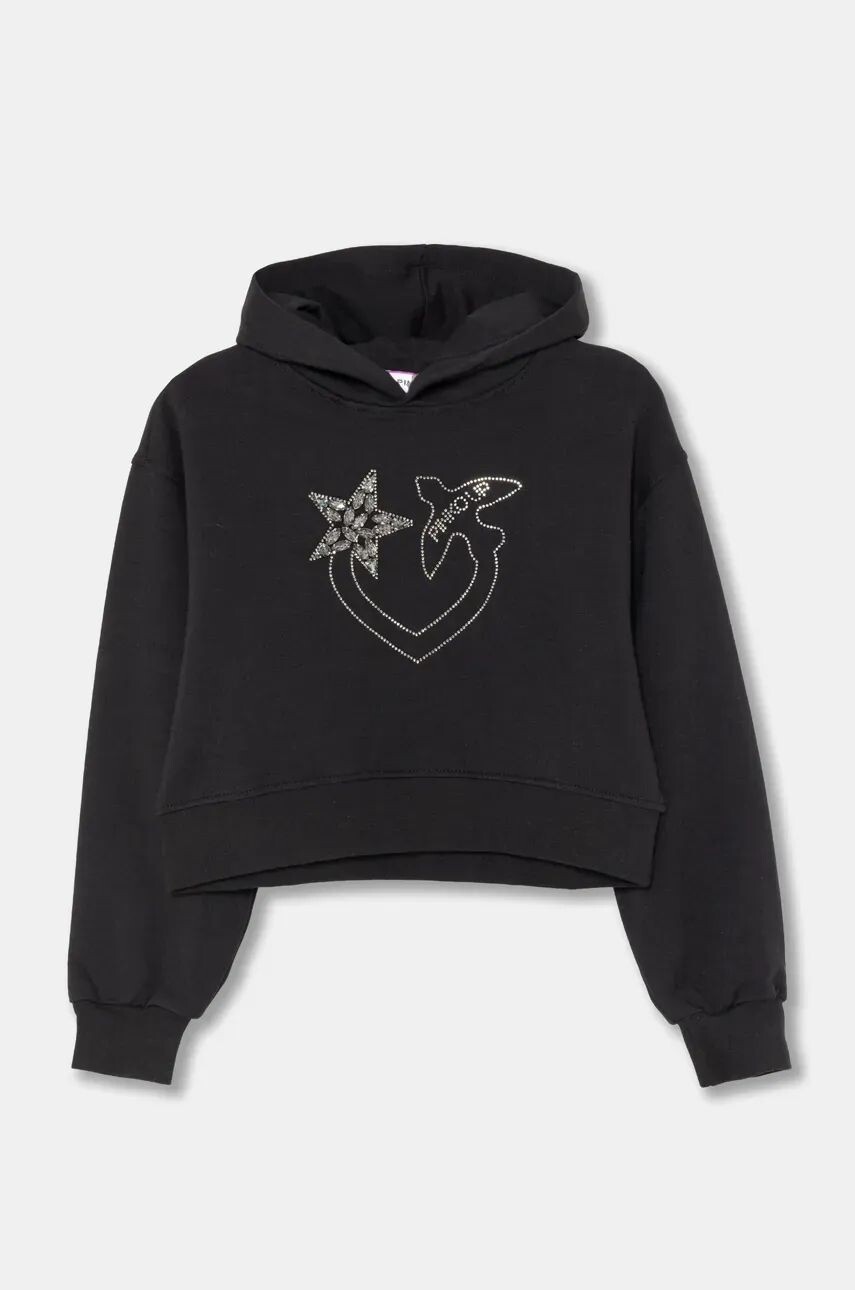 Толстовка Pinko Up детская, черный
Толстовка Pinko Up детская, черный