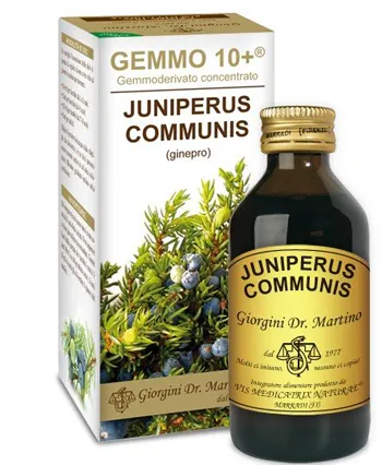 Можжевельник 100 мл Analco Gemmo 10+ Благополучие мочевых путей Dr. Giorgini
Можжевельник 100 мл Analco Gemmo 10+ Благополучие мочевых путей Dr. Giorgini
