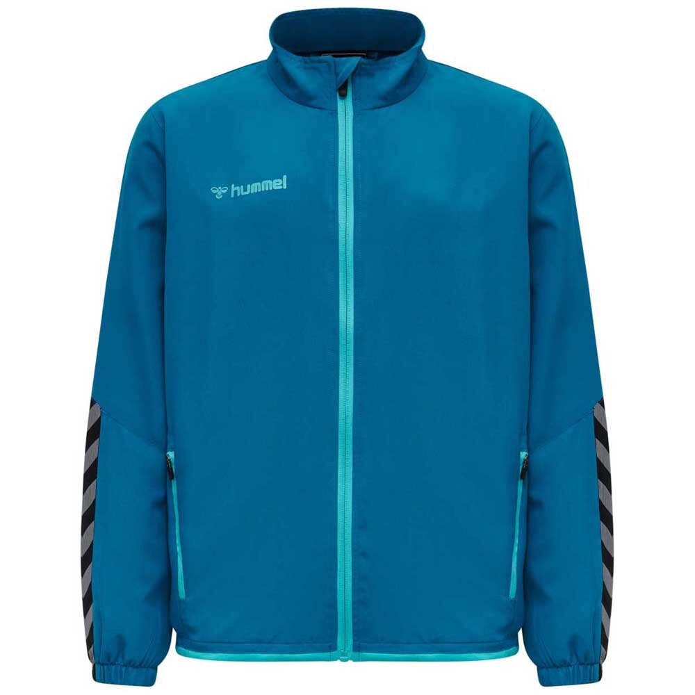 Толстовка Hummel Authentic Full Zip, синий
Толстовка Hummel Authentic Full Zip, синий