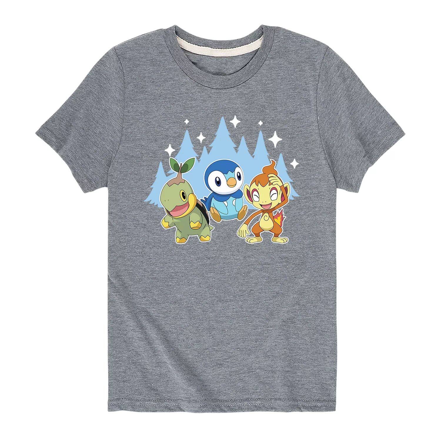 Зимняя групповая футболка Pokemon Sinnoh для мальчиков 8–20 лет Licensed Character, серый
Зимняя групповая футболка Pokemon Sinnoh для мальчиков 8–20 лет Licensed Character, серый