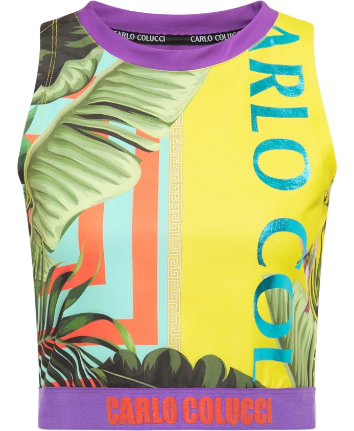 Топ Борцовка с ярким принтом Carlo Colucci, мультиколор
Топ Борцовка с ярким принтом Carlo Colucci, мультиколор