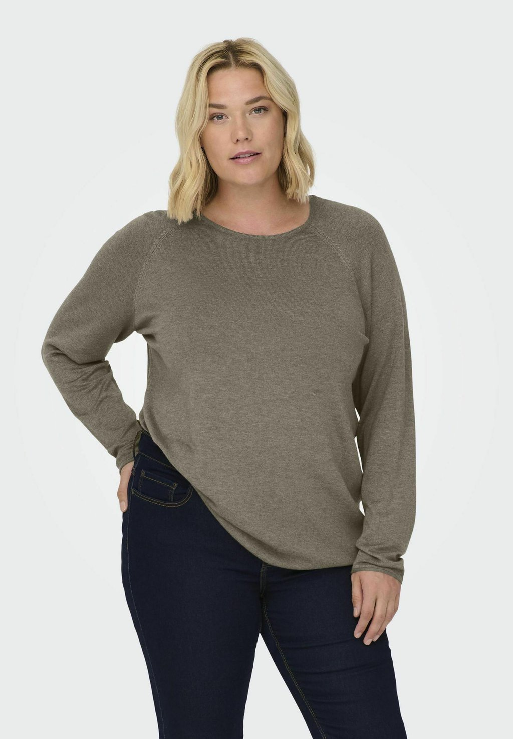 Джемпер CARLADY ONLY Carmakoma, коричневый
Джемпер CARLADY ONLY Carmakoma, коричневый